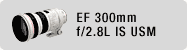 EF 300mm f/2.8L IS USM