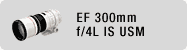 EF 300mm f/4L IS USM