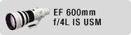 EF 600mm f/4L IS USM