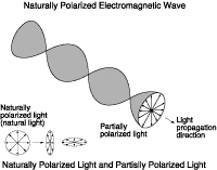 Naturally Polarized Electromagnetic Wave